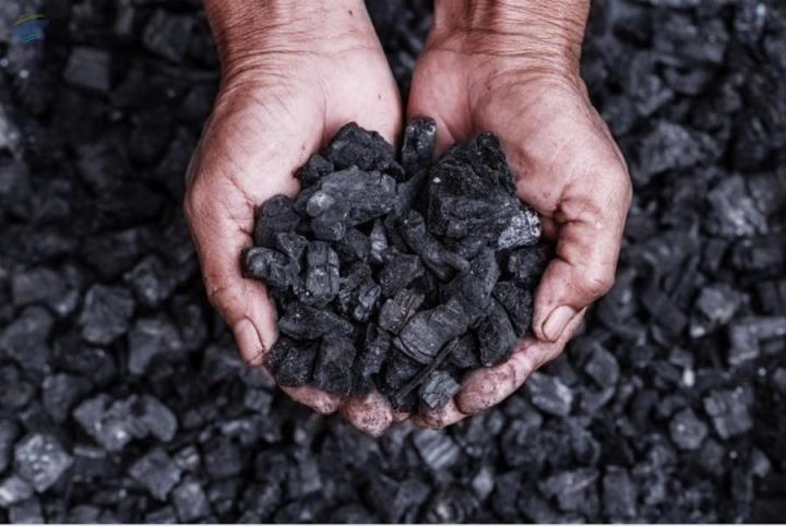Indonesian Steam Coal, Benefit and Advantage